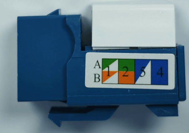 Dado de Red RJ45 Cat6